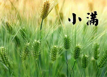 2020年小滿是什么日子,小滿節氣的天氣特點解析！(圖文)