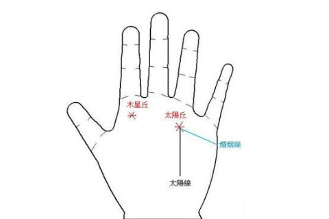 手相分析：一個人的掌丘中每個部分都有什么含義，什么作用？