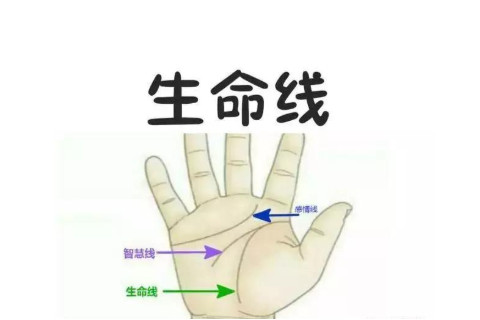 教你如何通過(guò)手相看你的命運(yùn)好壞