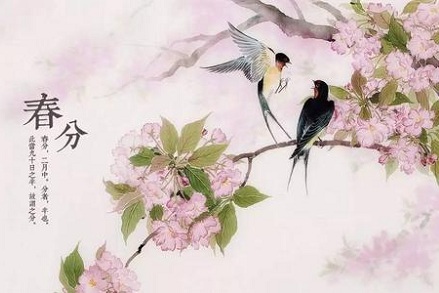 春分節氣出生的生肖牛好不好？屬牛幾月出生命最好？(圖文)