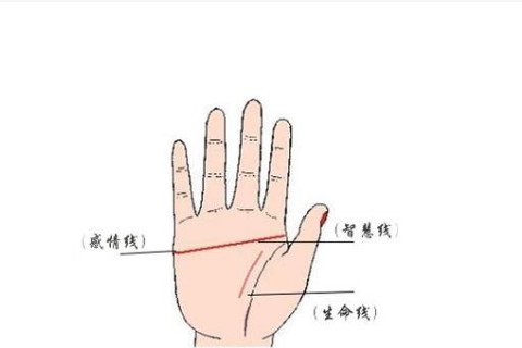 手相分析：女人一只手斷掌的命運如何