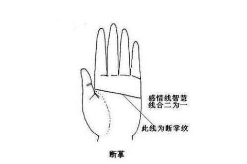 有著斷掌的女人命運怎樣? 好不好?