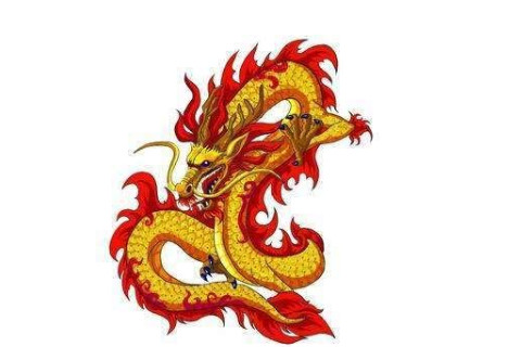 生肖龍和生肖虎的合財嗎？