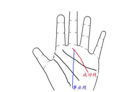 手相如何看成功線的命運(yùn)