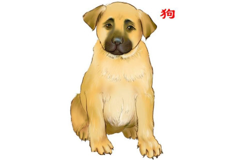 生肖狗和生肖馬的合財嗎？