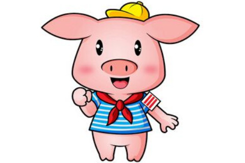  出生于1971年屬豬的人2020年運(yùn)程大全
