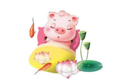 出生于1995年生肖豬的人命運如何?