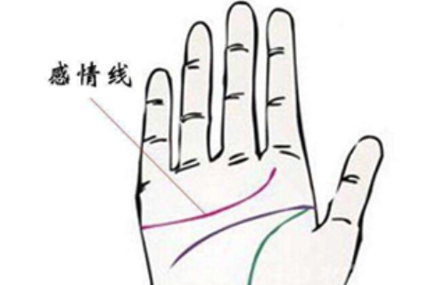 怎么從感情線手相看出一個人的性格和命運，讓我們來給你分析