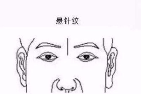 有著懸針紋男人的性格固執？這里和你想要的答案