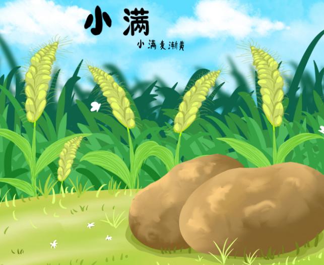 2020年小滿是什么日子,小滿節氣的天氣特點解析！(圖文)