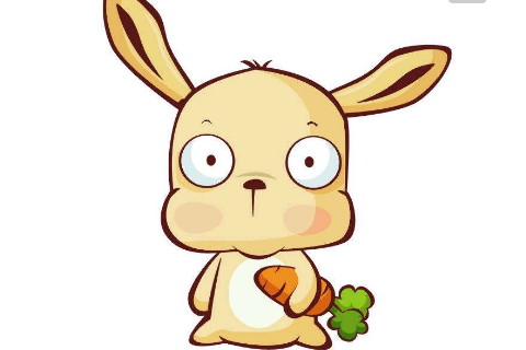 1963年生肖兔人在2020年的全年運勢怎么樣,如何化解犯太歲