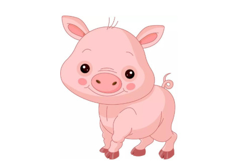 2020年鼠年屬豬人的婚姻命運怎么樣，婚姻愛情旺盛