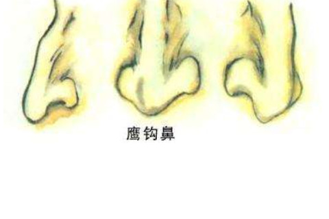 有著鷹鉤鼻的女人的性格好還是壞？面相如何？