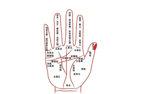  手相分析：什么樣的手相婚姻中容易出現***？