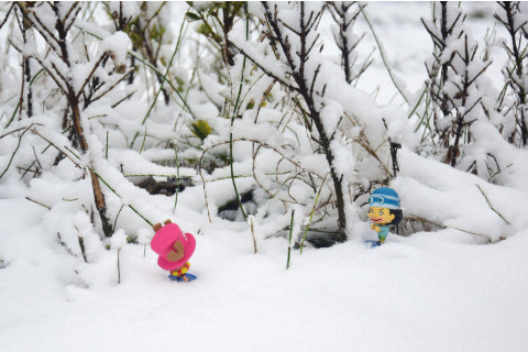 夢見下大雪