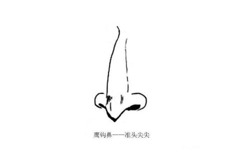 鷹鉤鼻的男人好不好 性格如何
