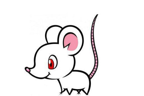 生肖兔和生肖猴的合財嗎？