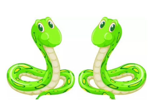 生肖蛇和生肖鼠的合財(cái)嗎？
