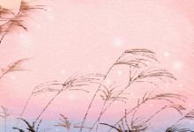 測你玩***的手段是否高明