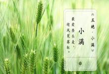 2020年小滿節氣時辰（亥時）出生鼠寶寶命好不好？