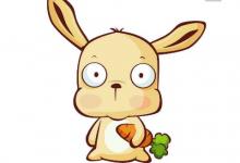 1963年生肖兔人在2020年的全年運勢怎么樣,如何化解犯太歲