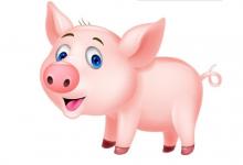 分析屬豬2020年運勢及運程