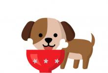 生肖狗女人與其他屬相男人結合的婚姻狀況如何，好不好