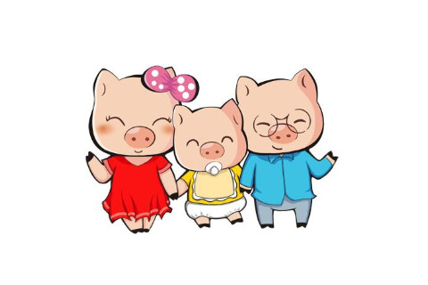 豬年出生的人命運好不好 性格如何
