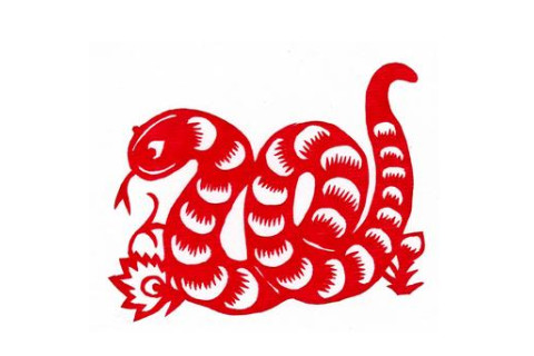出生于1977年生肖蛇的人運勢如何？
