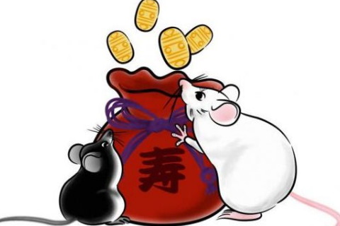 2008年出生屬鼠人今年運勢好嗎，12歲要注意什么