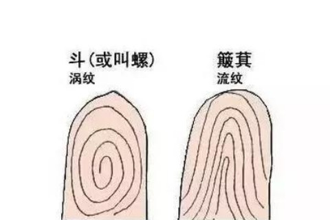 通過看手上指紋判斷人生運(yùn)勢