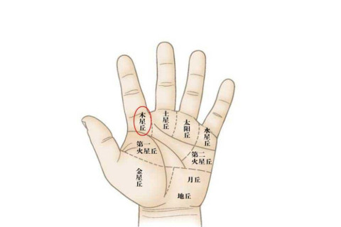 如何通過手相看一個人的健康如何？