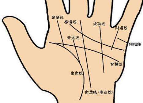 天生財運就很好的手相是怎么樣的？(圖文)