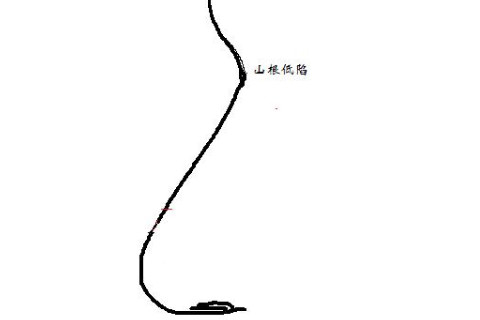 有著山根低面相的人命運如何