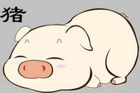屬豬人辦公室風水方位分析