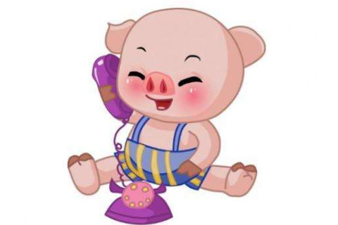 出生于1959年屬豬人2021年命運如何  適合佩戴什么吉祥物