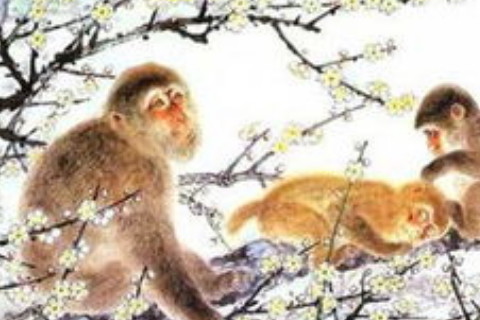 1968年屬猴人在2020年的運勢以及運程，52歲屬猴人運勢詳解