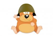 屬狗2021年運勢及運程 牛年生肖狗人命運大全