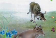 1961年屬牛人在2020年的運(yùn)勢(shì)以及運(yùn)程，59歲屬牛人運(yùn)勢(shì)詳解