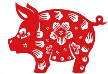 2020年屬豬運勢以及運程如何，屬豬今年適合辭職跳槽嗎