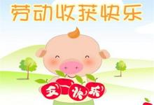 五一節(jié)出生的寶寶有勇敢精神寓意起名·名字分析!