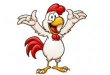 出生于2017年生肖雞的人運勢如何？