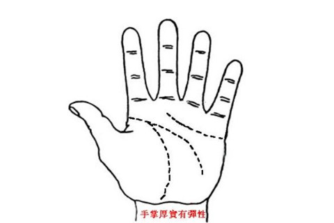 10種有錢男人手相解析