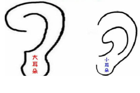 通過耳朵形狀判斷運勢如何