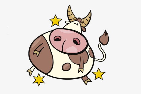 本命年適合佩戴什么生肖，2021年牛年本命年能戴鼠飾品嗎