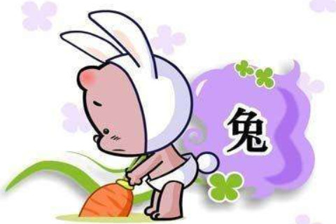 出生于2011年屬兔人2021年命運(yùn)如何 適合佩戴什么吉祥物