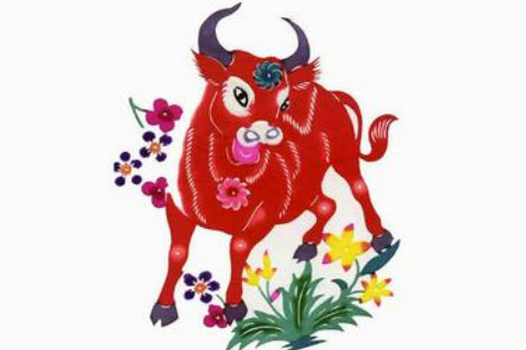 出生于2009年的人命運好不好