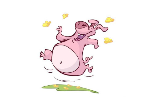 生肖豬人2020鼠年是多大年紀