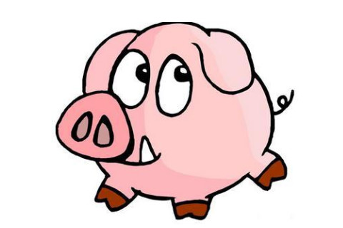  2019年是什么屬相