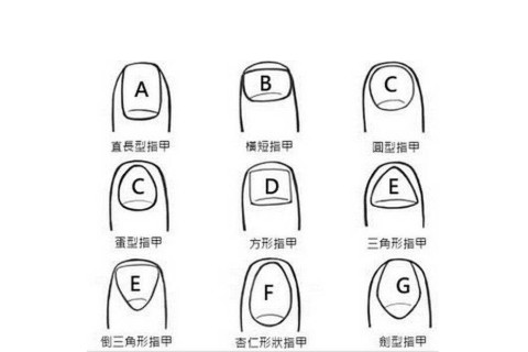 通過指甲形狀解析人的性格（二）